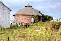 #15 Round Barn with horse 2 in Pierce County, WI