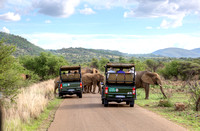 Elephants among Jeeps
