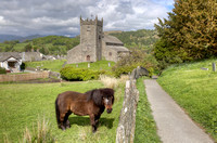 Hawkshead Pony, England