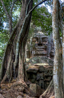 Face & Trees on gate, Angkor Wat, Cambodia