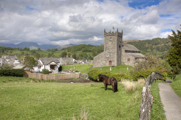 Hawkshead Pony gazing, England