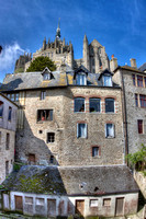 Find the Cat Mount St. Michelle, France #2